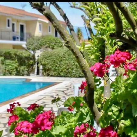 Lemon Tree Apartments B C Argostoli  Exterior foto