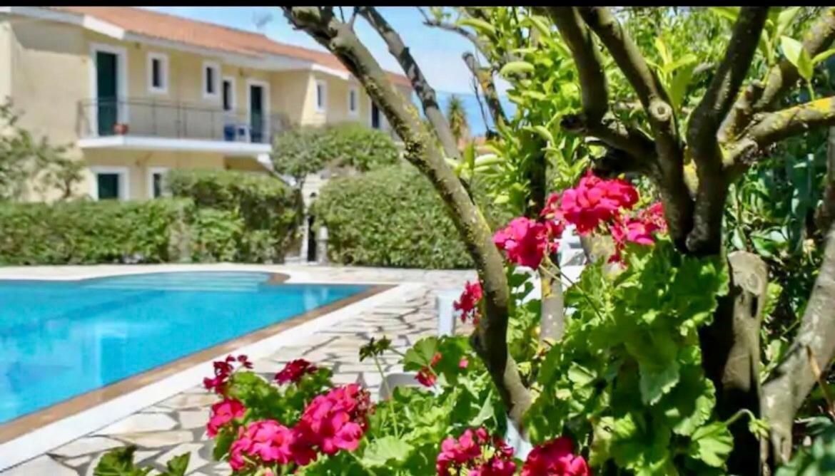 Lemon Tree Apartments B C Argostoli  Exterior foto